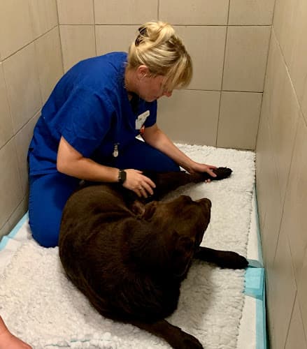 Business listing image