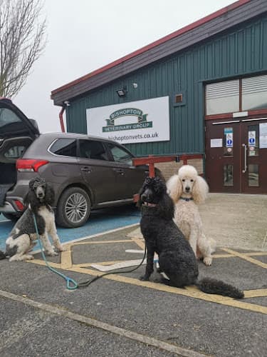 Business listing image