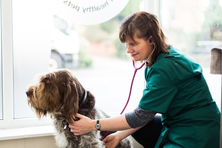 Business listing image