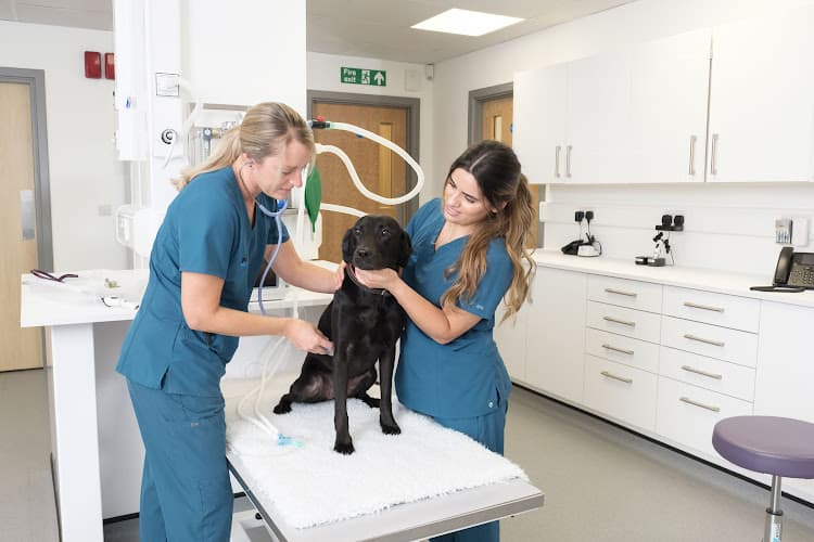 Business listing image