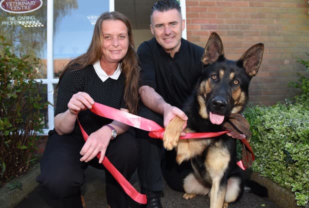 Business listing image