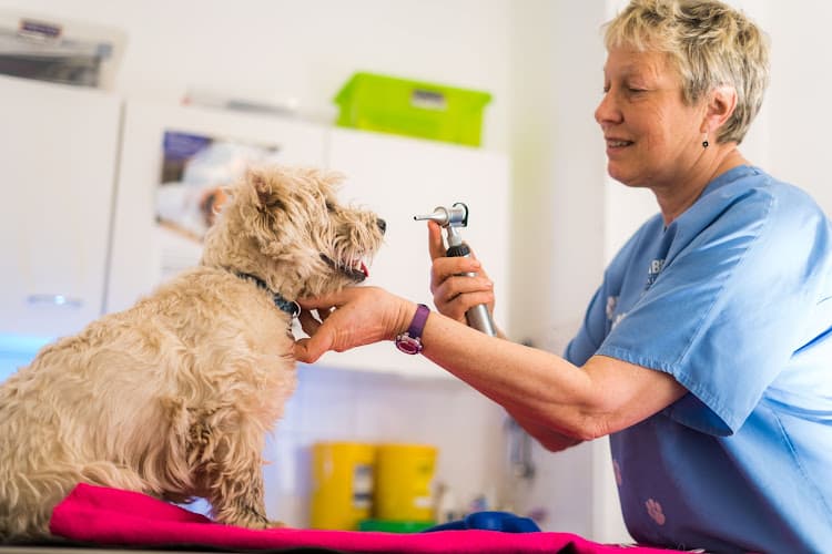 Business listing image