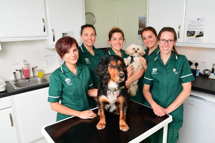 Business listing image