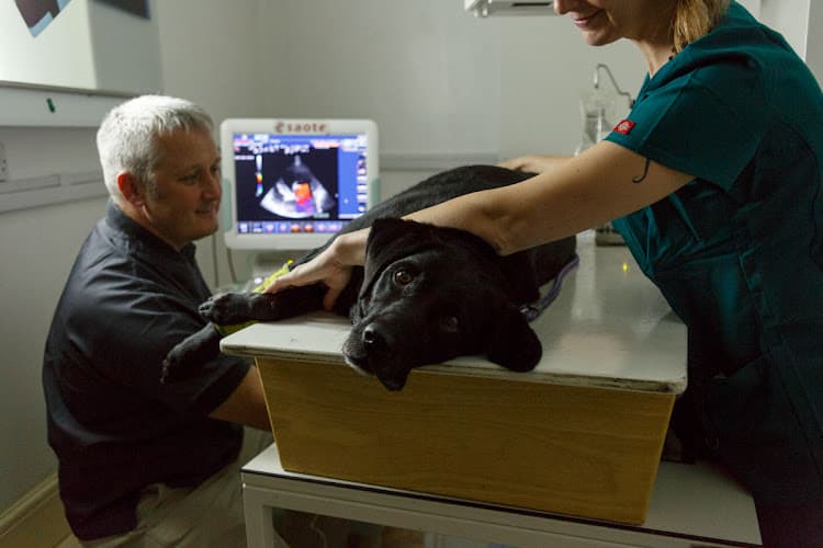 Business listing image