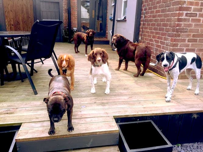 Business listing image