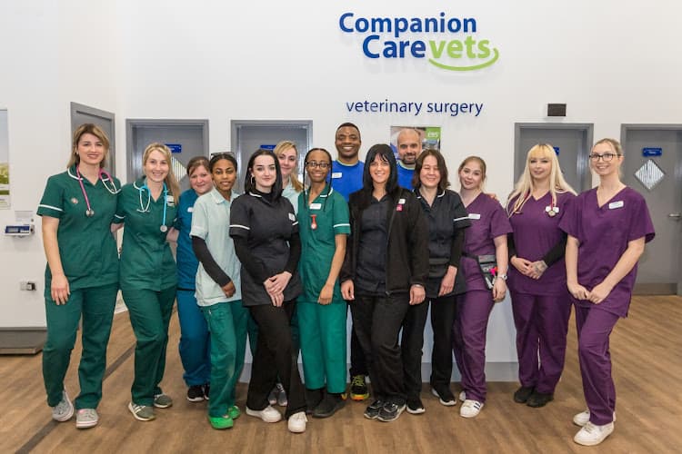 Business listing image