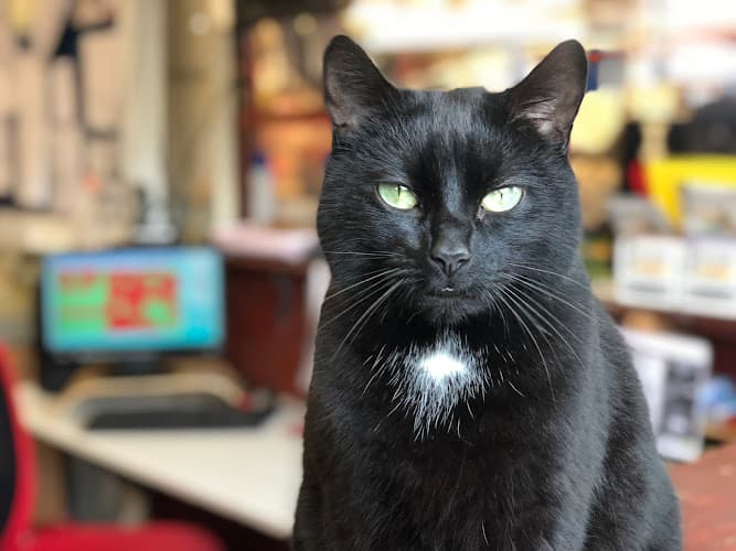 Business listing image