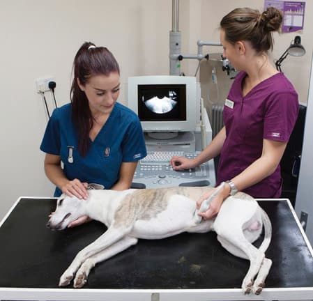 Business listing image