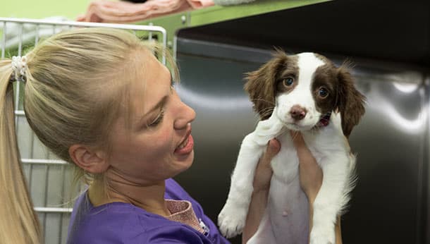 Business listing image