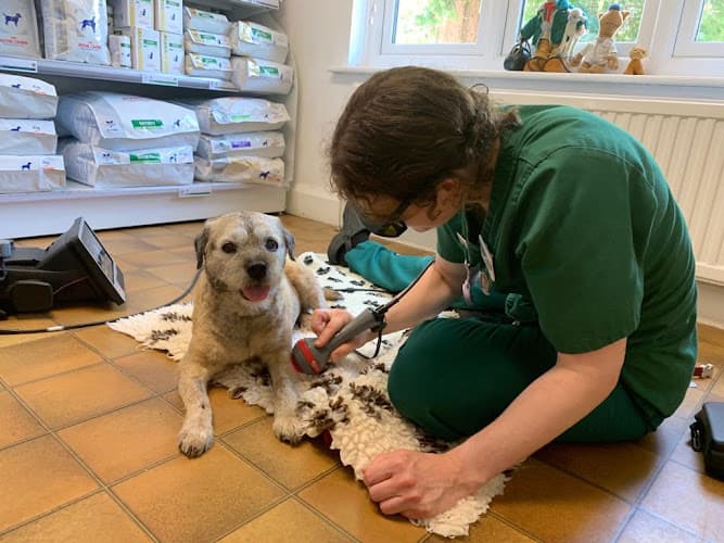 Business listing image