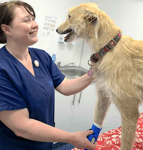 Business listing image