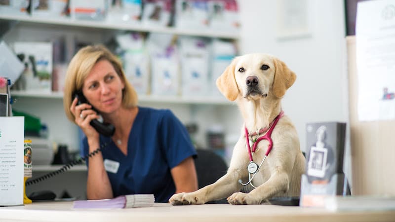 Business listing image