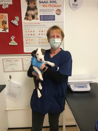 Business listing image