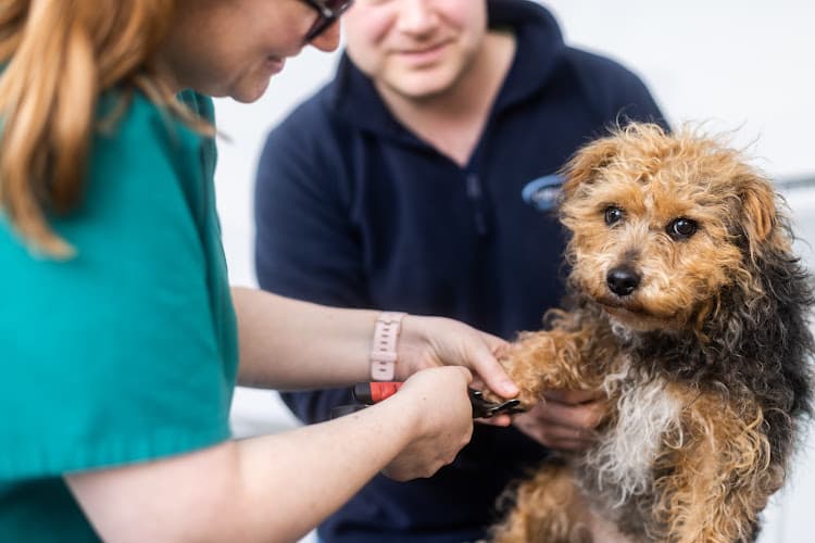 Business listing image