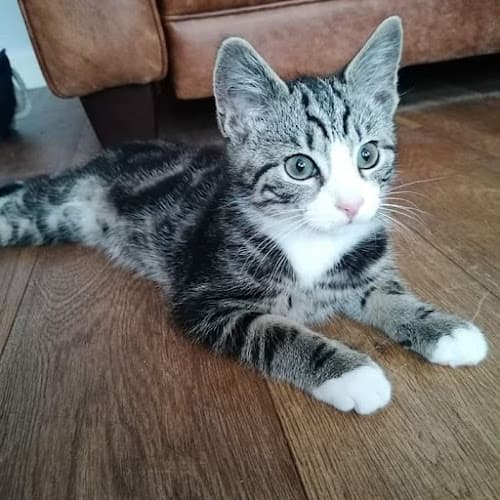 Business listing image