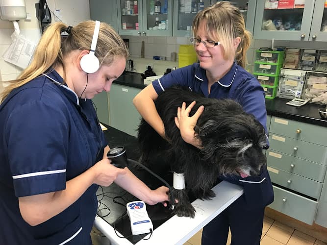 Business listing image