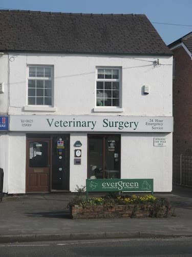 Business listing image