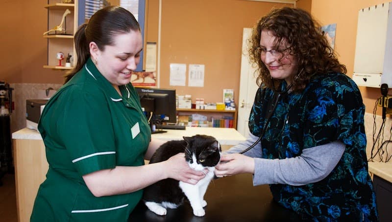 Business listing image