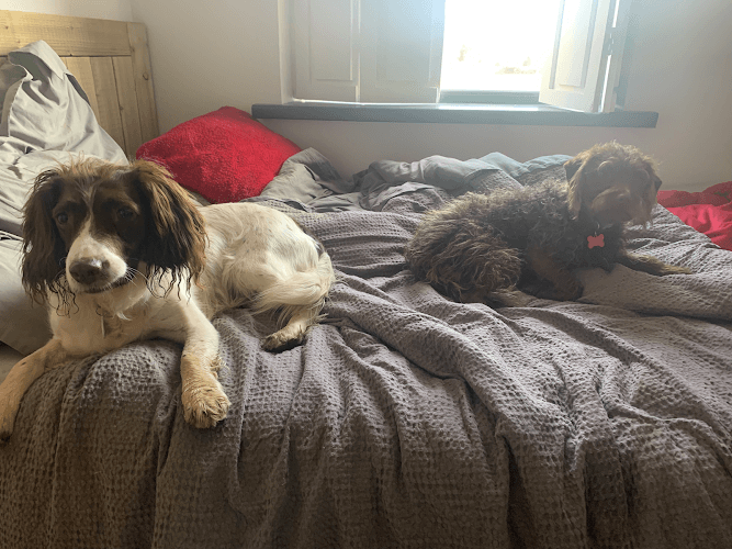 Business listing image