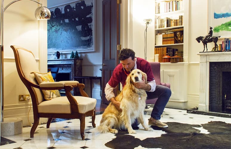 Business listing image