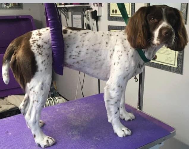 Business listing image