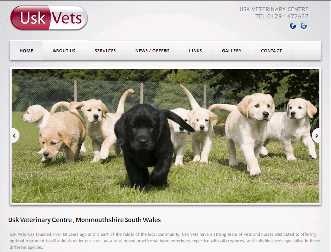 Business listing image