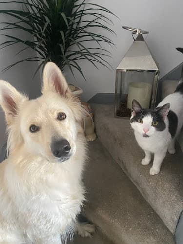 Business listing image