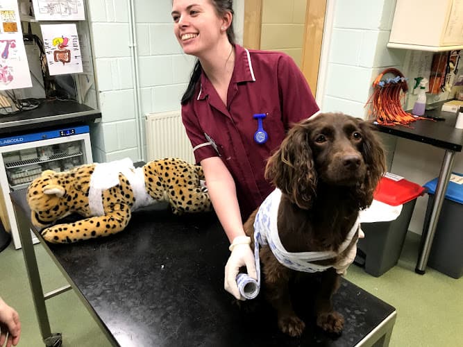 Business listing image