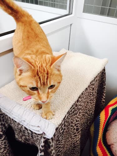 Business listing image