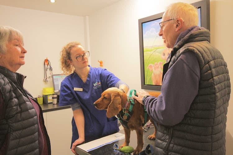 Business listing image