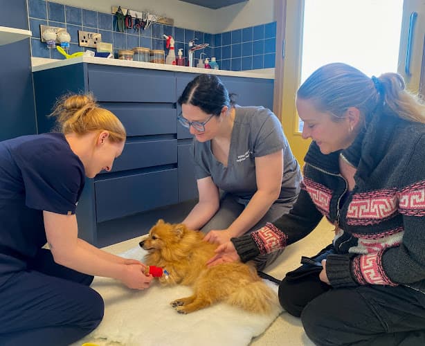 Business listing image