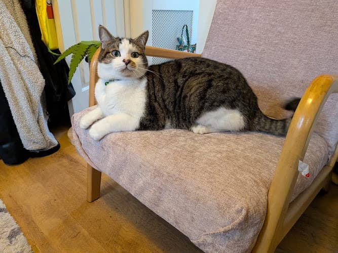 Business listing image