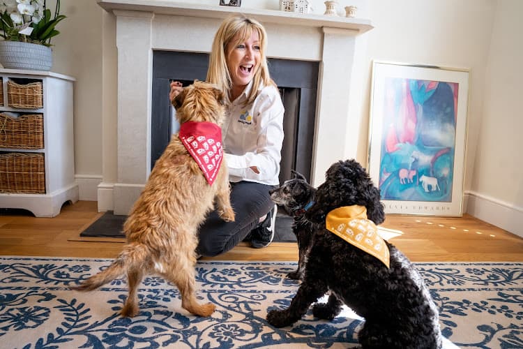 Business listing image