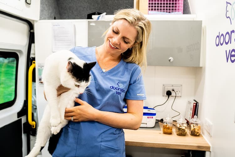 Business listing image