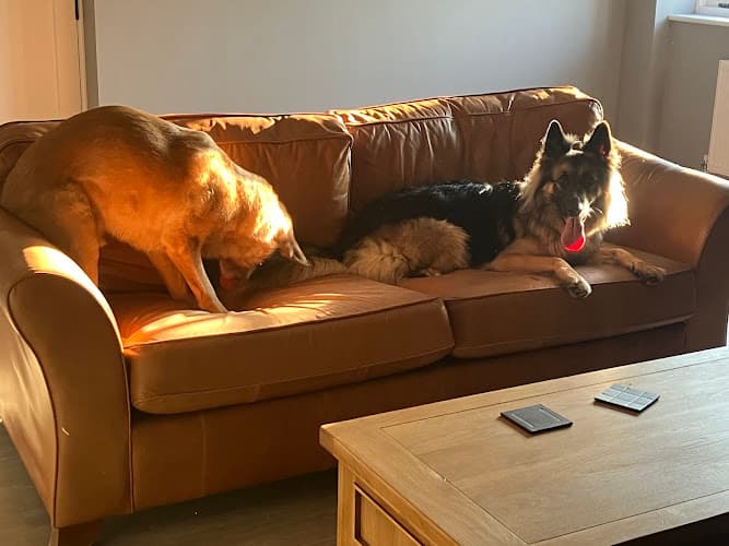 Business listing image