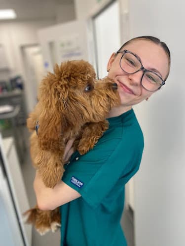 Business listing image