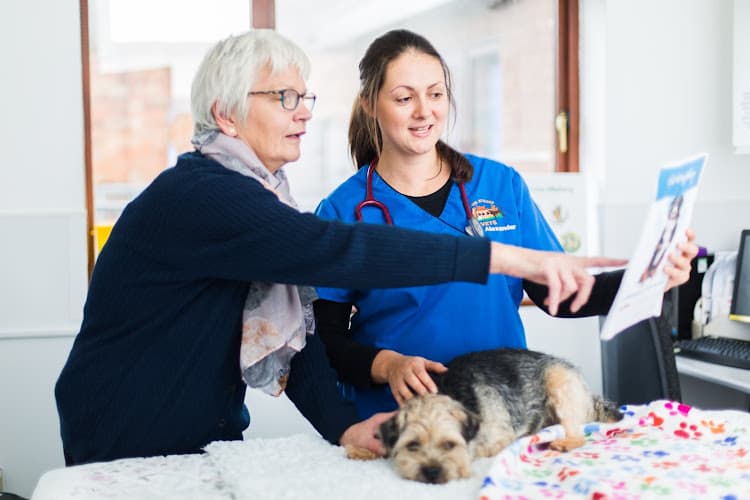 Business listing image