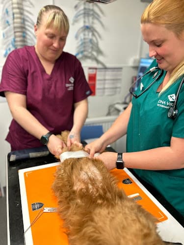 Business listing image