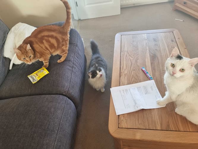 Business listing image