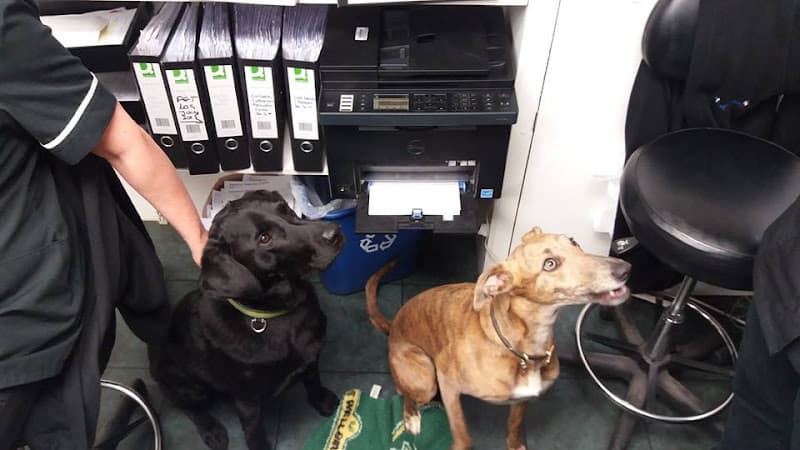 Business listing image