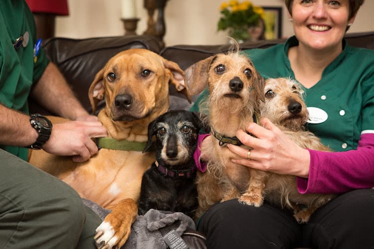 Business listing image