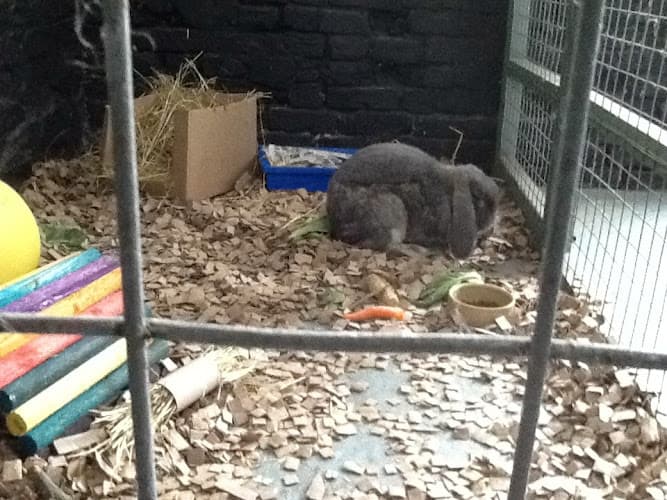 Business listing image