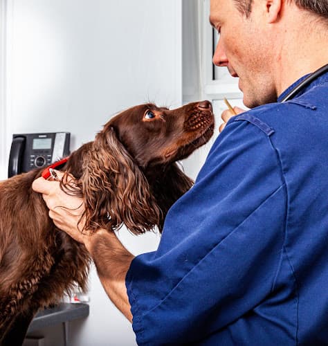 Business listing image