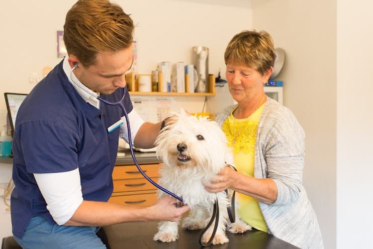 Business listing image