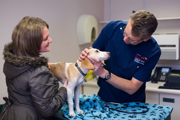 Business listing image