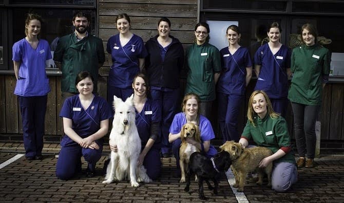 Business listing image