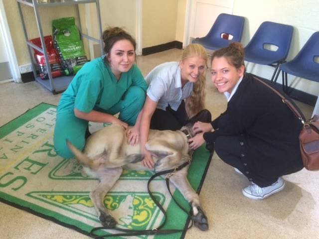 Business listing image