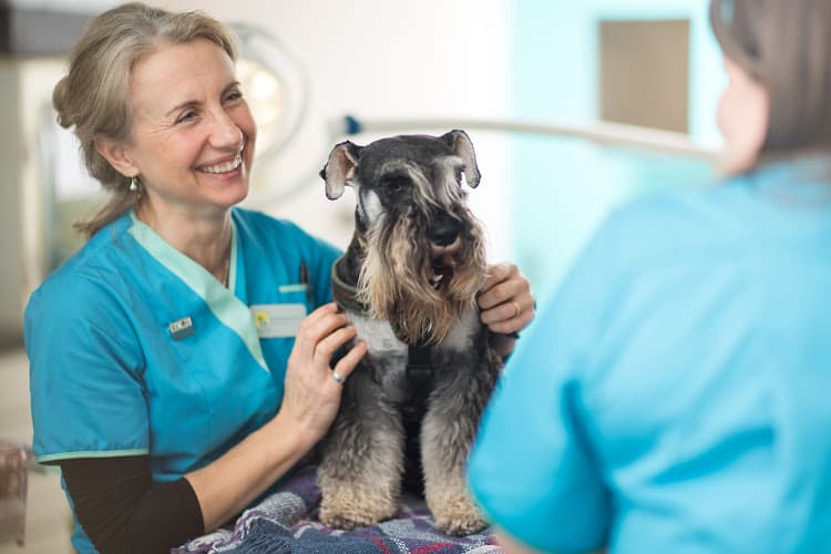 Business listing image