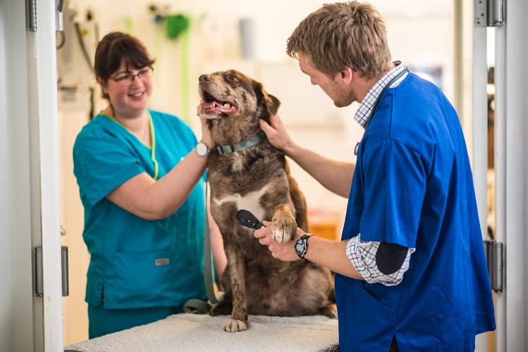 Business listing image