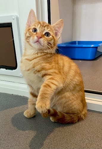 Business listing image